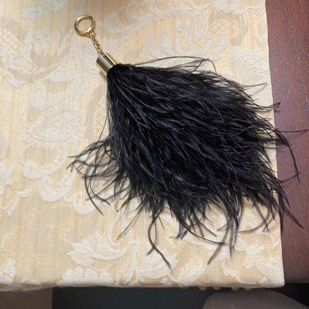 Key ring